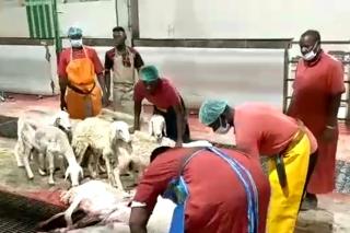 Jamaah Haji Riau Mulai Bayarkan Dam