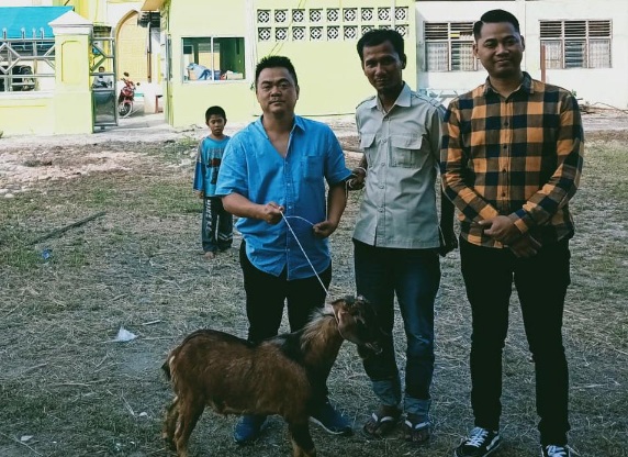 Pengusaha Asun Sumbang 2 Hewan Kurban Sapi di Sekretariat DPRD Kota Pekanbaru