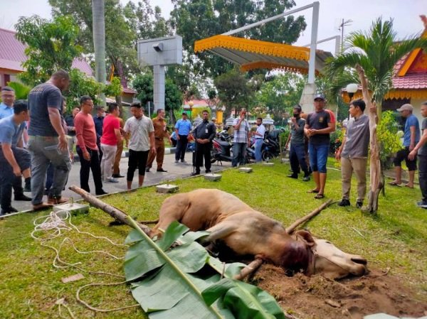 Fraksi Hanura NasDem DPRD Pekanbaru: Sumbangan Kurban Holywings Kemarin Ada Udang Dibalik Bakwan