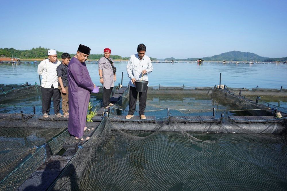 Wagub Riau Kagum Melihat Potensi Kerambah Ikan di Danau Koto Panjang
