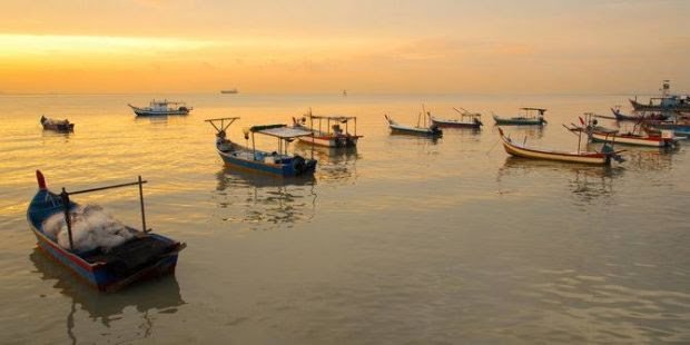 Luar Biasa! Produk Perikanan Indonesia Tembus ke-138 Negara