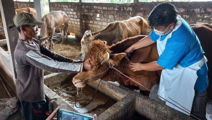 57.400 Vaksin PMK Didistribusikan ke Kabupaten/Kota di Riau