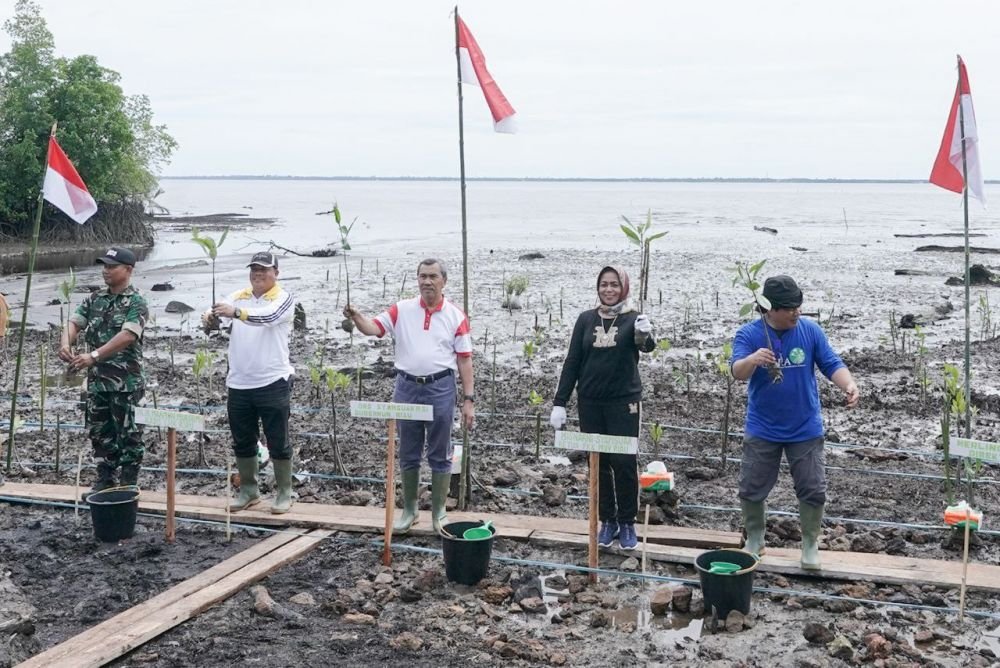 Sempena Hari Mangrove Sedunia, Gubri Tanam Ratusan Ribu Bibit Mangrove