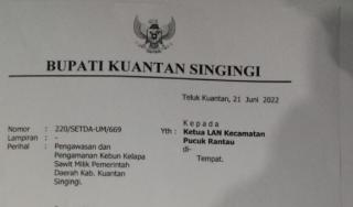 Alasan Tanah Ulayat, Plt Bupati Kuansing Legalkan 500 Hektar Kebun sawit di Kawasan Hutan Lindung