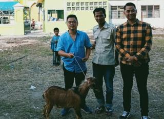 Pengusaha Asun Sumbang 2 Hewan Kurban Sapi di Sekretariat DPRD Kota Pekanbaru