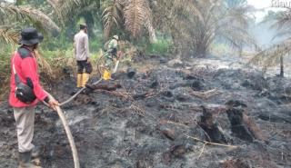 Kebakaran Lahan di Tiga Daerah, BPBD Riau Kerahkan Helikopter Water Boombing