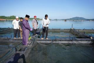 Wagub Riau Kagum Melihat Potensi Kerambah Ikan di Danau Koto Panjang