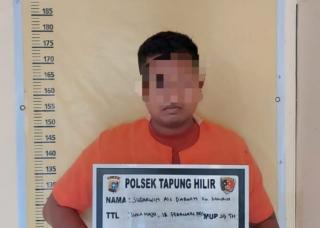 Kasus Jual Beli Penipuan Sapi di Tapung Hilir Kampar Berujung di Jeruji Besi
