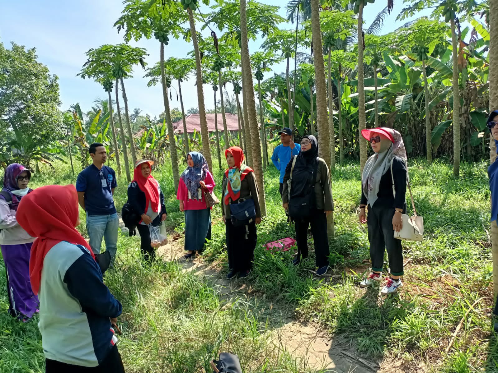 Dorong Daya Saing Produk Pangan Segar, Disketapang Fasilitasi Sertifikasi Prima 3 untuk Kelompok Tani