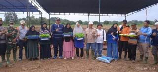 Pemkab Inhu Dukung Ketahanan Pangan di Desa Batu Rijal Hulu