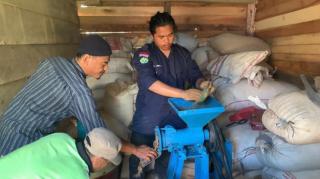 Lewat Mahasiswa Kukerta UNRI, Kelompok Budidaya Ikan Simpang Beringin Diajari Cara Buat Pakan Ikan Lokal