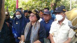 Cegah Abrasi, Gubri dan Menteri LHK Tanam Pohon di Tepian DAS Indragiri