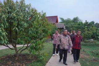 Maretsum Simanullang Sebut Taman Gembira Durilengkeng Contoh Nyata Tanah Riau Subur