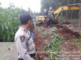 Wanita Pekerja Kayu di Pelalawan Tewas Diterkam Harimau