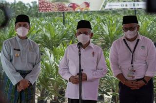 Wapres Serahkan 10.000 Kecambah Sawit Hibrid Kepada Ponpes Teknologi Riau