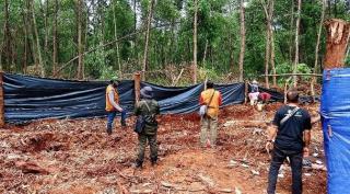 Diserang Harimau, Pekerja di Pelalawan Berhasil Selamat, Begini Kronologisnya