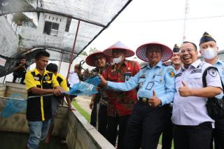 Kemenkumham Riau Panen Perdana Budidaya Lobster di Lapas Pasir Pengaraian