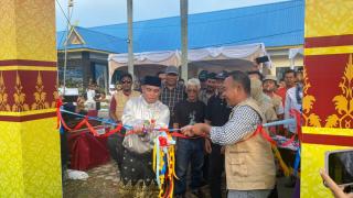Kontes Bonsai Nasional di Pekanbaru Pamerkan 551 Koleksi Unik