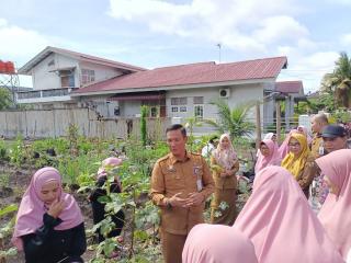 Disketapang Dukung dan Apresiasi KWT Okranusa Lakukan Budidaya Tanaman Okra di Pekanbaru