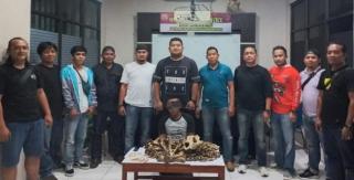 Jual Tulang Belulang Harimau, Warga Inhu Diamankan Polisi