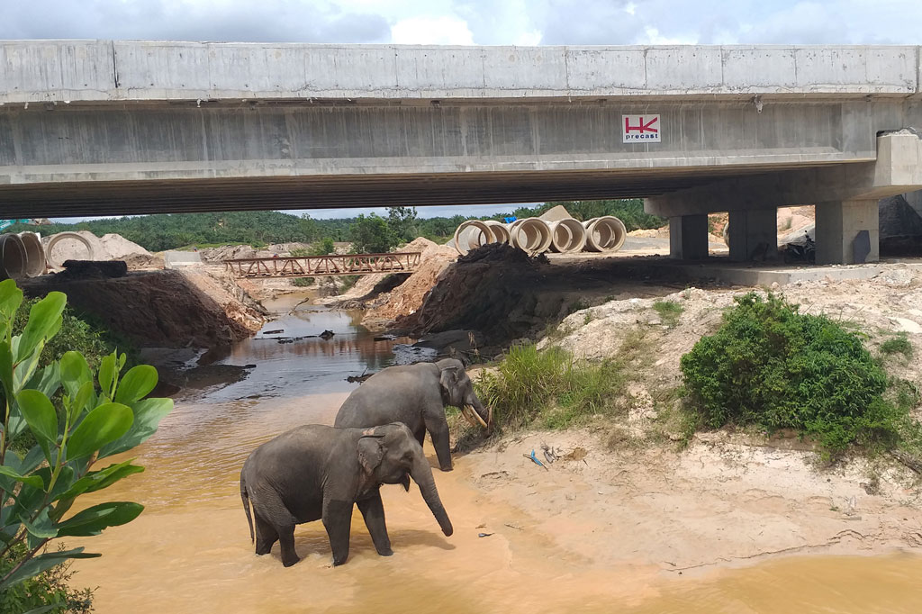 Target Pengelolaan Tol Berkelanjutan dan Berkarakter 2024, HK Pertahankan Terowongan Gajah di Tol Permai