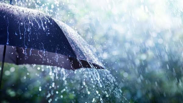 Prakiraan Cuaca di Riau 26 November, Sedia Payung Sebelum Hujan