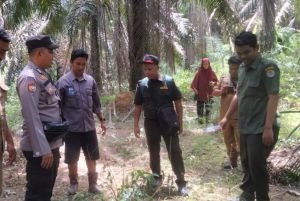 BKDSA Riau Mitigasi, Respon Laporan Sapi dan Kambing Mati Diduga Dimangsa Harimau