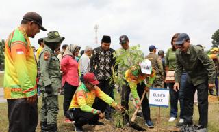 DLHK Riau Bagikan 10 Ribu Bibit Pohon di Siak