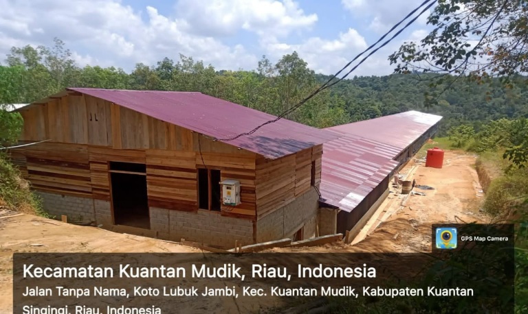 Miris! Peternakan Ayam Berdiri di Kawasan Hutan Lindung Bukit Betabuh Kuansing