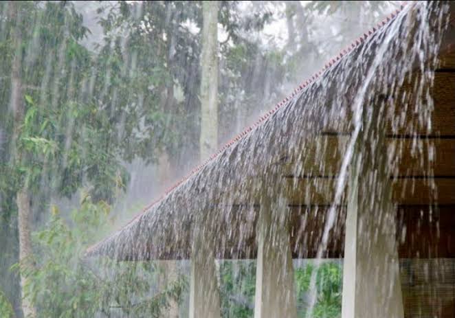 Prakiraan Cuaca 11 Januari, BMKG Ingatkan Potensi Hujan Disertai Petir di Sejumlah Wilayah Riau