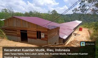 Miris! Peternakan Ayam Berdiri di Kawasan Hutan Lindung Bukit Betabuh Kuansing