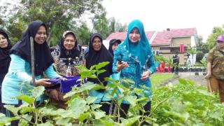 Geliat Aktivitas Kelompok Wanita Tani Binaan Dinas Ketahanan Pangan Pekanbaru