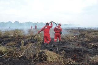 Antisipasi Kemarau 2023, DLHK Riau Minta Perusahaan Siaga Karhutla