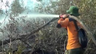 BPBD Riau Nyalakan Alarm Tanda Bahaya, Waspada Karhutla!
