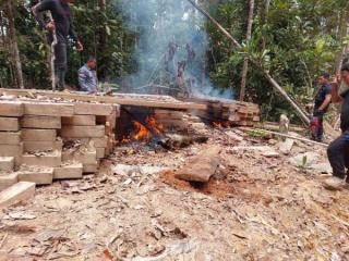 Tim Gabungan Temukan Pondok dan Kayu Pembalakan Liar di Bukit Tabandang Kuansing