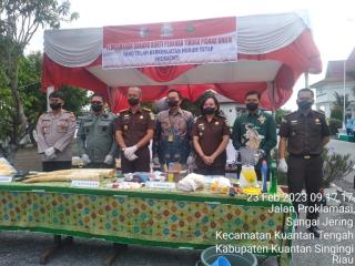 Kejari Kuansing Musnahkan Gading Gajah dan Sabu Seberat 0,196 Kg