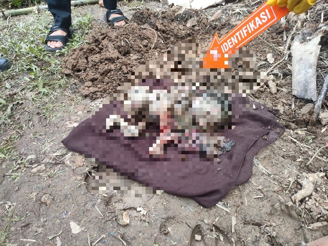 Geger! Jasad Bayi di Kuansing Tertanam Separuh Dalam Tanah