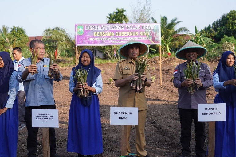 SMKN 1 Rupat Jadi Percontohan Penanaman Kelapa Pandan Wangi dan Talas Ungu