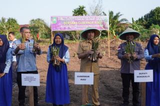 SMKN 1 Rupat Jadi Percontohan Penanaman Kelapa Pandan Wangi dan Talas Ungu