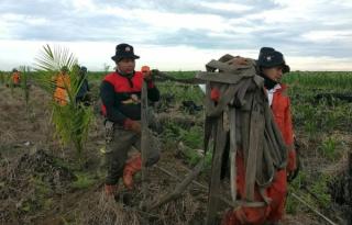 Padamkan Kebakaran Lahan BPBD Riau Kirim Tim dan Peralatan ke Bengkalis