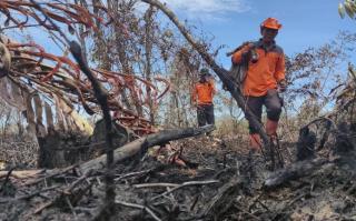 Karhutla yang Melanda Dua Desa di Bengkalis Berhasil Dipadamkan Petugas  