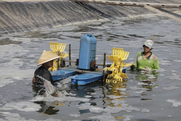 NTNP di Riau Naik Jadi 103,87 pada Maret 2023