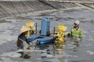 NTNP di Riau Naik Jadi 103,87 pada Maret 2023