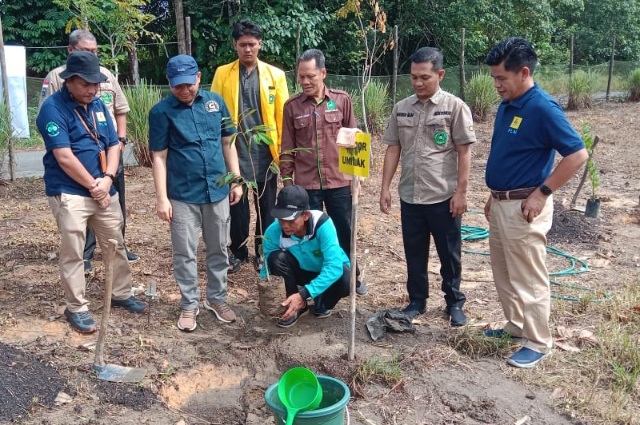Hijaukan Kampus, 240 Pohon Buah Ditanam di Unilak Riau