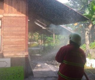 DPKP Pekanbaru Padamkan Kebakaran Gudang Jamur di Jalan Matador
