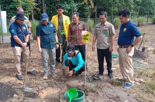 Hijaukan Kampus, 240 Pohon Buah Ditanam di Unilak Riau