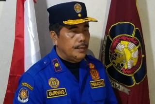 Petugas Damkar Pekanbaru Eksekusi Tawon Vespa di Perumahan Warga Kulim