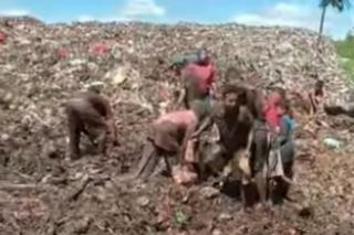 Viral Warga Bengkalis Bongkar Daging Sitaan dari Tumpukan Sampah, Ini Kata Polisi