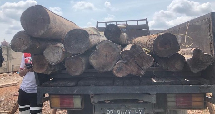 Polisi Amankan 84 Ton Kayu Mahang Ilegal Asal Riau, 5 Pelaku Ditangkap