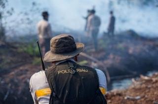 Polisi Amankan Dua Pria Paruh Baya Bakar Lahan di Rokan Hilir Riau